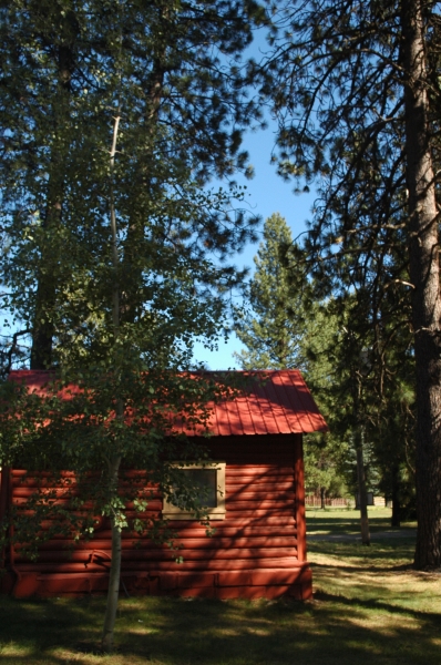 Cabin 3